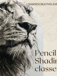 Drawing & Sketching Classes