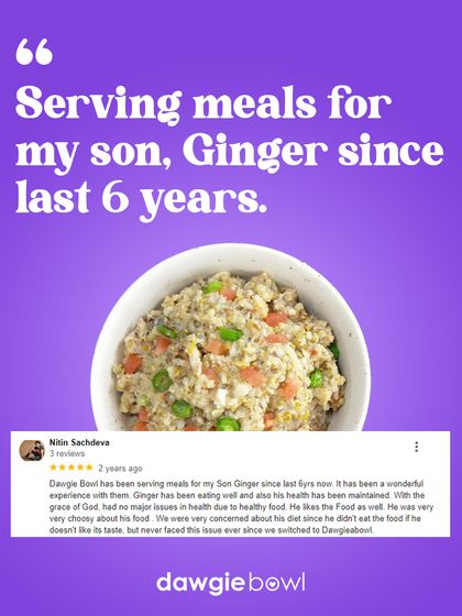 Six years of trust is the highest compliment I can receive. This long-term customer's experience with their son, Ginger, shows our commitment to consistent quality and taste, ensuring even picky eaters stay healthy and happy year after year.