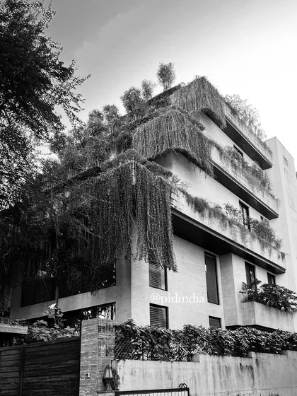 A monochrome perspective of the Bandra residence highlights the texture and form of the cascading greenery. Our design creates a dramatic, organic pattern against the building's clean architectural lines.