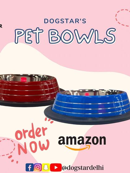 My durable, stainless steel anti-skid pet bowls are perfect for preventing mealtime messes. They are now available to order directly from Amazon for your convenience.