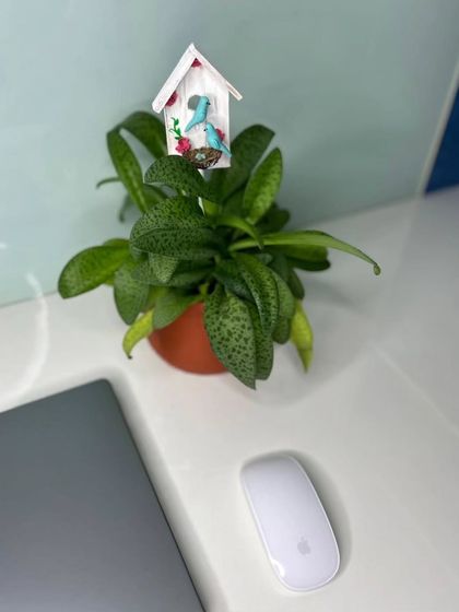 Add a touch of uniqueness to your workspace with my plant stakes. This miniature birdhouse stake looks perfect on a desk, bringing a bit of the garden indoors.