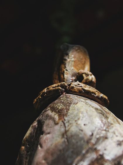 The neck of this wood-fired sculpture shows how the intense heat and ash deposits create a natural, rugged glaze. Each detail is a mark of the firing process, a story written by the kiln itself.