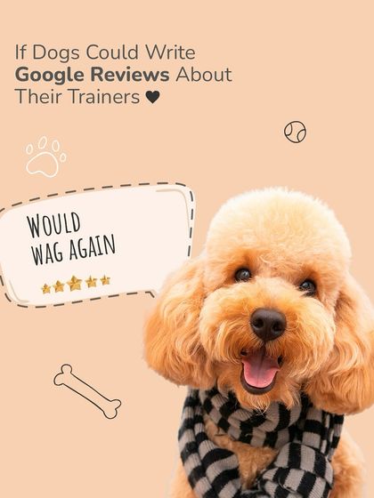 The highest praise a dog can give: "Would wag again." This funny review captures the essence of a happy client.