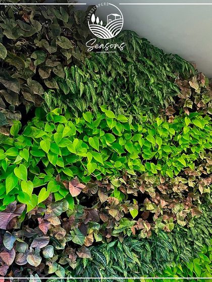 Vertical Gardens & Living Walls photo 9