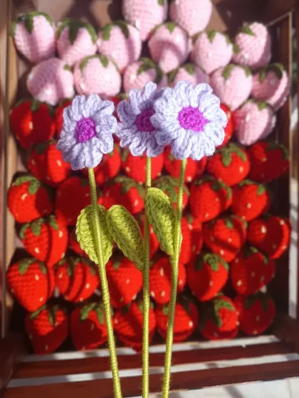 Three lilac daisy stems, a soft and pretty option.