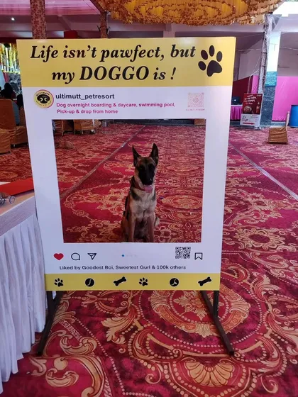 This beautiful Belgian Malinois is ready for her close up at our Durga Pujo celebration. It's so wonderful to see our community celebrating together.