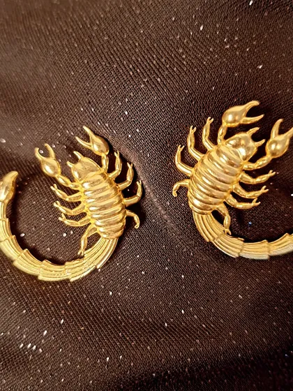 A close-up of the intricate design of the Unbent scorpion earrings.