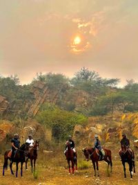 Horseback Riding & Trail Experiences