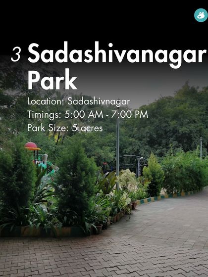 The Pack - Pet-Friendly Adventures & Meetups Pet-Parent Resources: Guides & Tips photo 4