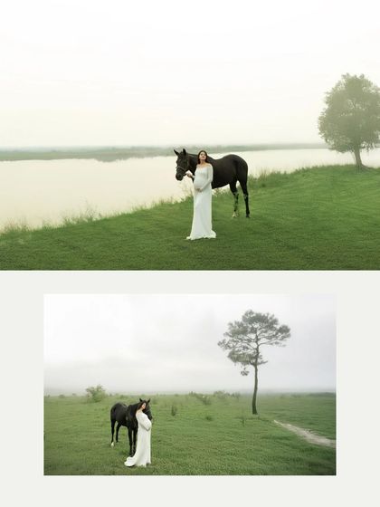A collage of ethereal moments with a horse in a misty, green landscape. These images are minimalist and poetic, capturing a unique and magical bond with nature.