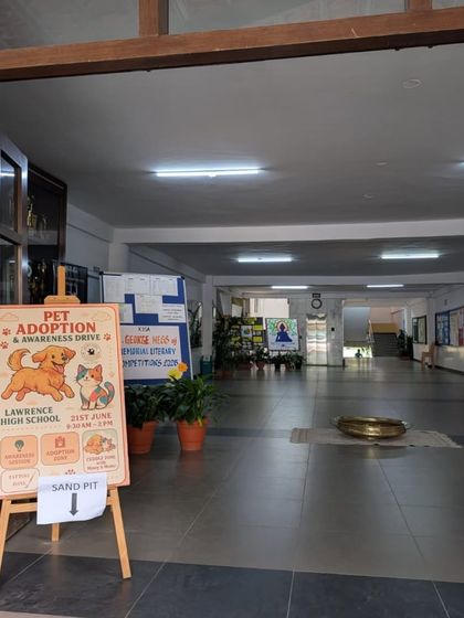 Oh My Dawg - Animal Welfare & Adoption Services Our Adoption Drives photo 29