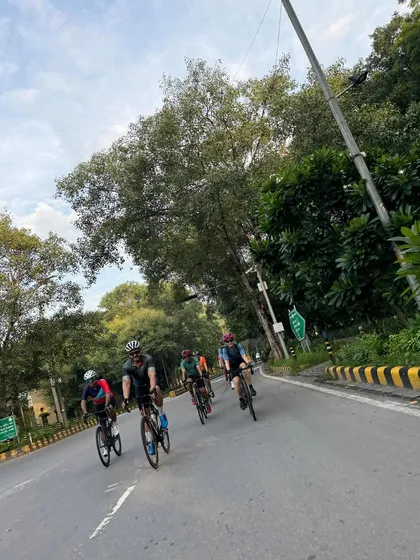 A shot of the group riding together on a tree-lined road.