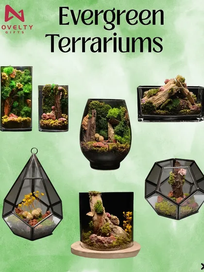 Looking for something different? My evergreen terrariums are a unique and lasting gift, bringing a piece of maintenance-free nature to any desk or home. I offer them in various shapes and sizes.
