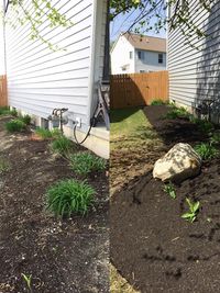 Landscape Design & Installation