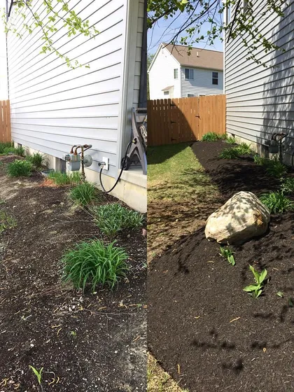 A typical spring clean-up job, before and after. We cleared out the old debris and laid down fresh mulch to get this garden bed ready for the season.