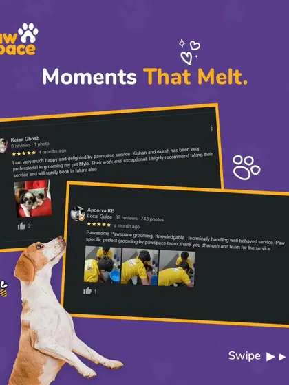Nothing speaks louder than the words of happy clients. This image showcases real reviews from pet parents who have seen exceptional results from our professional grooming and behavioral handling, highlighting our team's knowledge and skill.