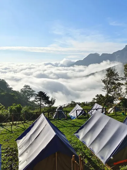 Tents glowing under the night sky at the Munnar campsite.