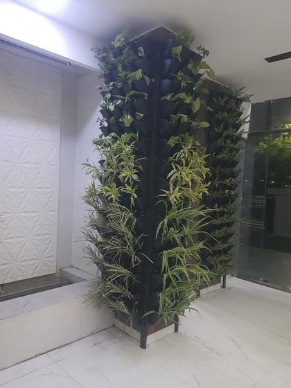 Green Walls for Offices & Businesses photo 5