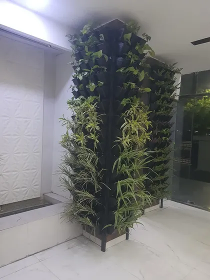 Another view of the freestanding green wall at Era Infra Eng. Ltd., showing how it adds life to the office entrance without taking up much floor space.