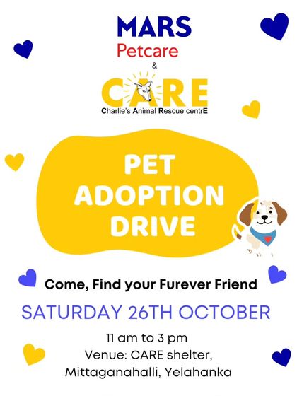 Charlie's Animal Rescue Centre - Community Outreach & Education Community Fundraising Events photo 61