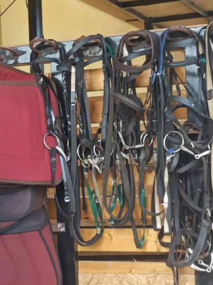 A variety of saddle pads and bridles in our tack room. We have everything needed for a safe and comfortable ride.