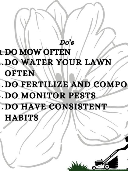 Here are five key things you should DO for a healthy lawn: mow often, water correctly, fertilize, monitor for pests, and maintain consistent habits.