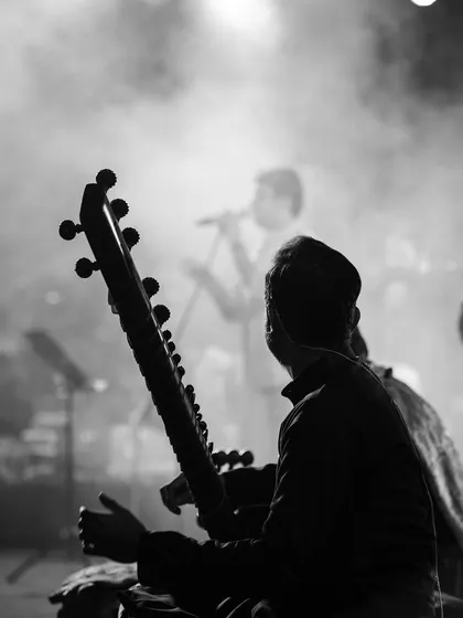 A powerful black and white shot from a concert with the Anirudh Varma Collective. The silhouette of the sitar against the smoky backdrop creates a very atmospheric mood.