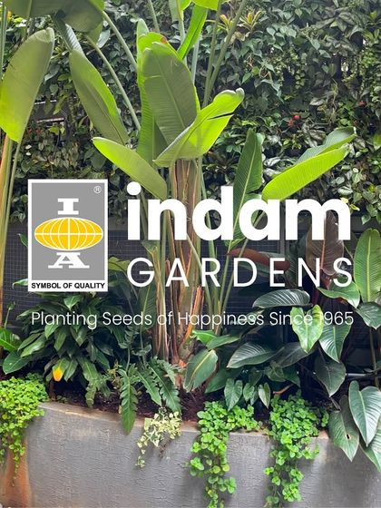 Our logo against a backdrop of a completed garden project. This composition features a mix of tall Bird of Paradise plants and cascading ground cover, showing our signature layered approach.
