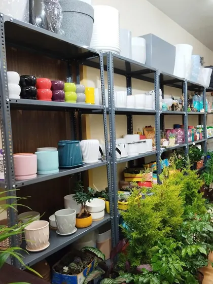 Looking for the perfect pot? I've got shelves full of them. This section of the store shows just a part of my collection of ceramic and other planters in various sizes and colors.