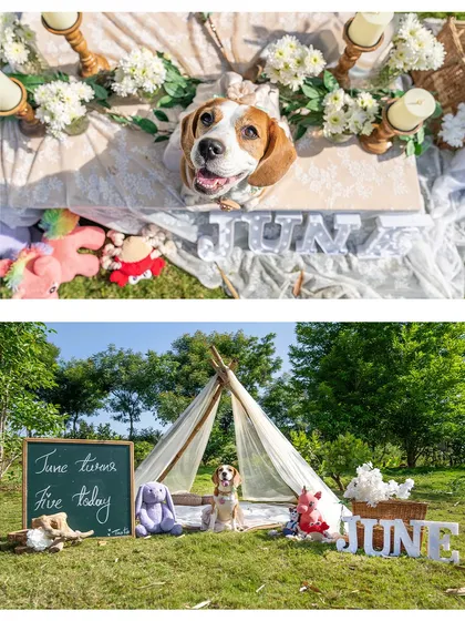 More beautiful moments from June's 5th birthday. The overhead shot shows her happy face amidst the decorations, while the other captures the full picnic scene.
