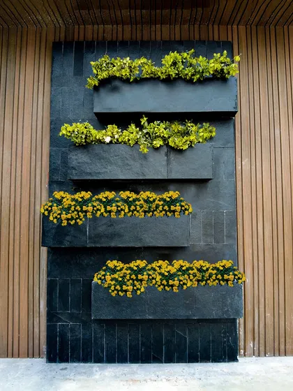 A minimalist and modern take on a vertical garden. This design uses sleek black planters mounted on a dark slate wall, with simple yellow and green plants for a clean, geometric look.