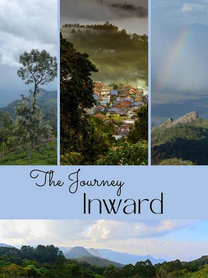 Pratyaksha Yoga - Yoga Retreats Retreats in the Tea Gardens photo 3