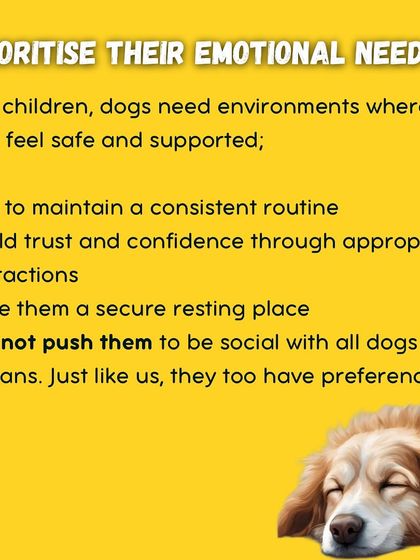 Garima Tomar - Board and Train Programs My Training Philosophy photo 4