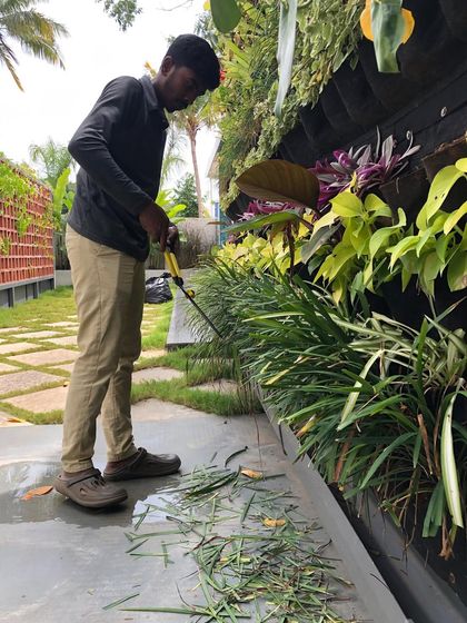 Vertical Gardens & Living Walls photo 4