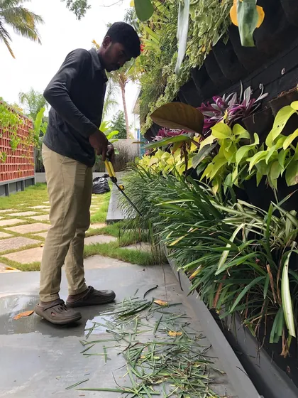 Trimming the grass at the base of a vertical garden is part of our routine maintenance. It’s this attention to every detail that ensures the entire installation looks clean and well-cared-for.