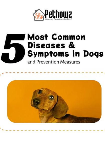 Pethowz - Pet Boarding & Sitting Pet Health & Wellness Guides photo 3