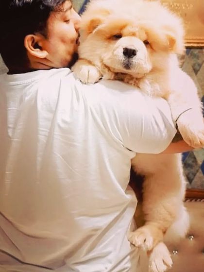 The adorable Tesla, a Chow Chow, gets a loving kiss and a hug from one of our team members. We provide endless affection to make every pet feel cherished.