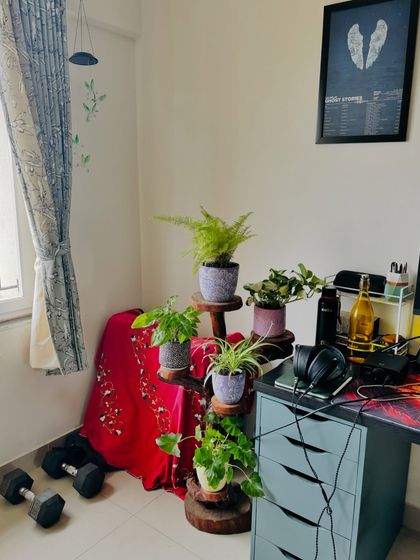 Another view of the work-from-home setup. The green from the plants softens the look of the desk and equipment, creating a more balanced and productive environment. Dumbbells optional!