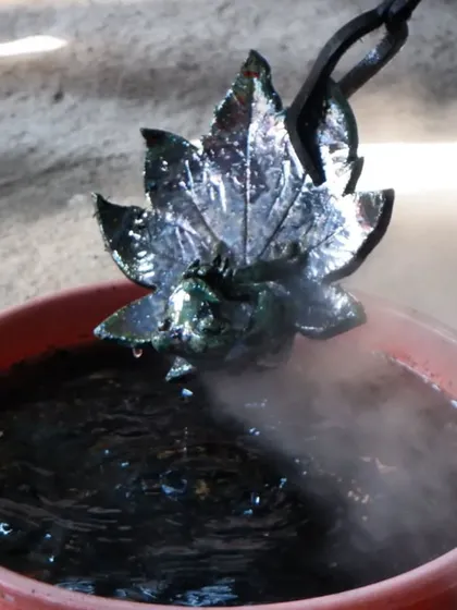 A leaf-shaped sculpture is quenched in water after the Raku firing. This rapid cooling helps to set the dramatic colors and crackle patterns in the glaze.