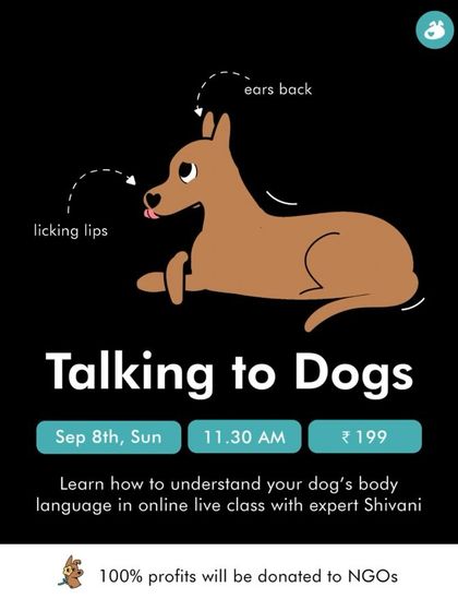 This graphic for my "Talking to Dogs" class illustrates some of the key signals we will learn, like lip licking and ears back. The class even donates 100% of profits to NGOs that help Indie dogs.