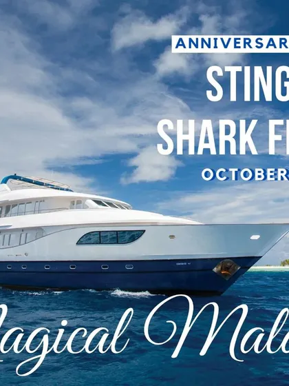 This is the liveaboard life. Our anniversary special trip combines thrilling dives with the comfort and luxury of a modern yacht. We handle all the logistics so you can simply eat, sleep, dive, and repeat in paradise.