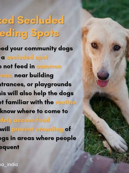 Cupa - Animal Cruelty Legal Aid & Advocacy Know Your Rights: A Guide for Feeders & Pet Owners photo 9