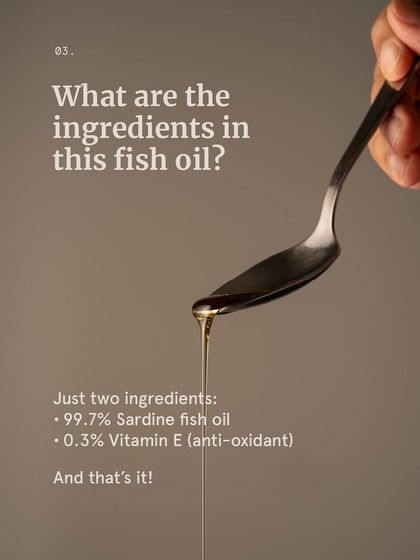 The Pack - Pet Parent Education & Workshops The Healthy Bowl: Canine Nutrition & Recipes photo 27