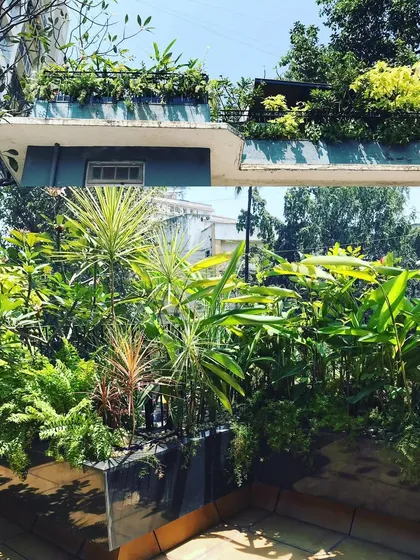 We believe any roof can be greened. This image shows how we can transform a bare building sunshade into a thriving rooftop garden, visible from both inside and out.