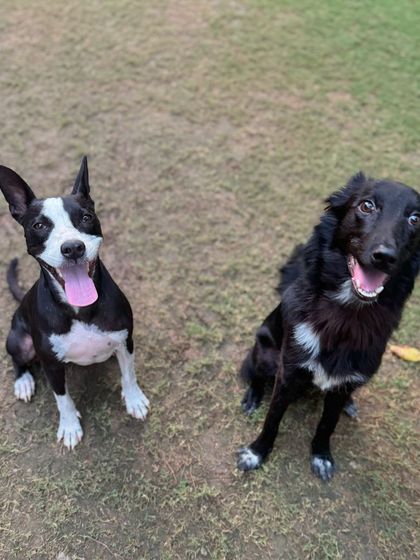Shifu and his best friend Lily Love, our center's mascot, enjoying some time together.