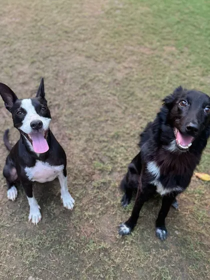 Shifu and his best friend Lily Love, our center's mascot, enjoying some time together.