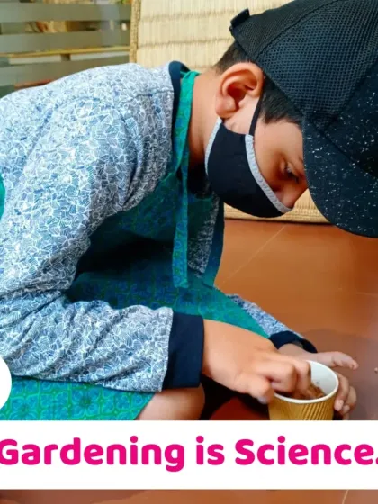 A young boy carefully tending to his seedling. I teach children that gardening is science, as they learn about biology and the environment in a practical way.