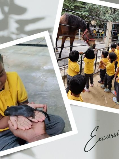 Ace Montessori - Summer Camp Outdoor Adventures & Excursions photo 21