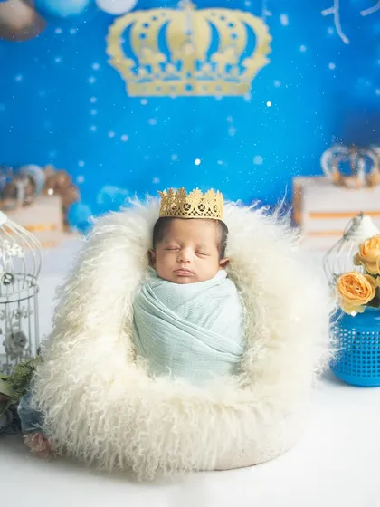 A peaceful portrait of the sleeping prince in his royal blue kingdom. The setup includes elegant details like a birdcage and flowers.