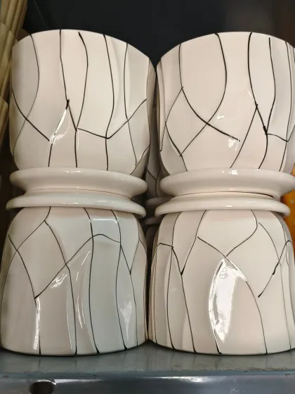 Stylish Ceramic Pots photo 4